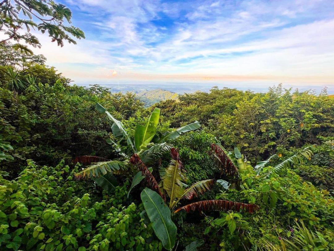 Domos Mirador Romantic Private Honeymoon Glamping Miramar Eksteriør bilde